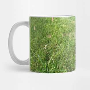 Grassland Plants Mug